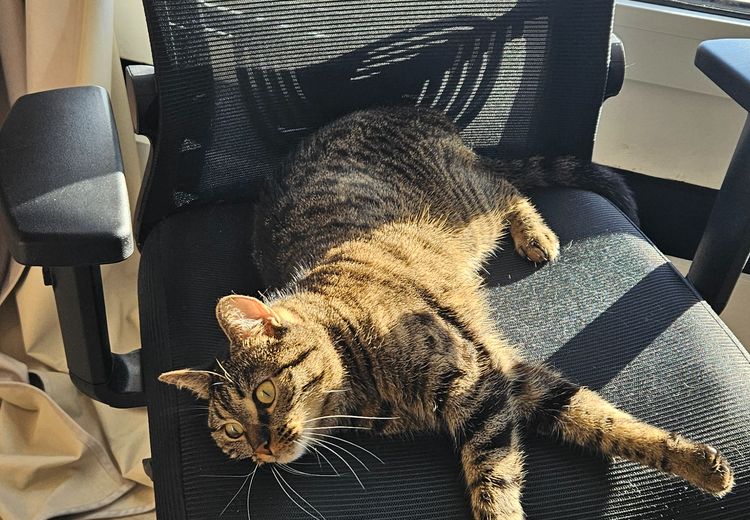 Des photos de la maison de Carole