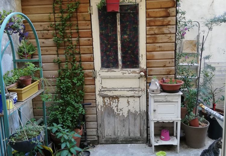 Pictures of Judith V.'s house