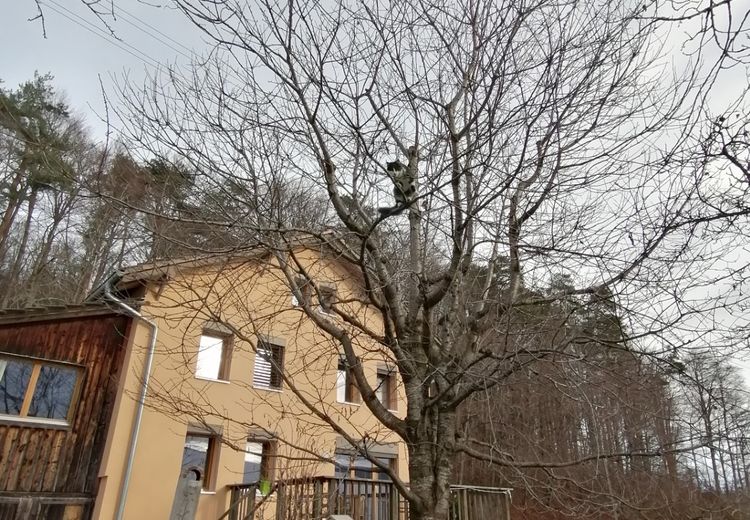 Pictures of Marie-Paule S.'s house