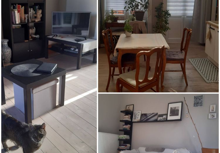 Pictures of Genevieve G.'s house