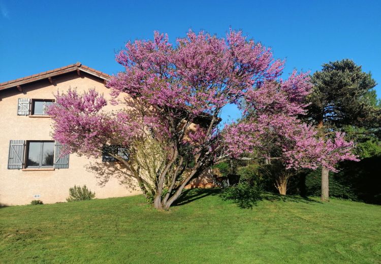 Des photos de la maison de Laurine B.