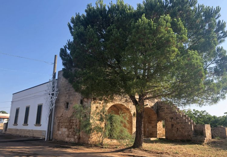 Pictures of Laura F.'s house