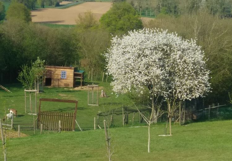 Des photos de la maison de Claire D.