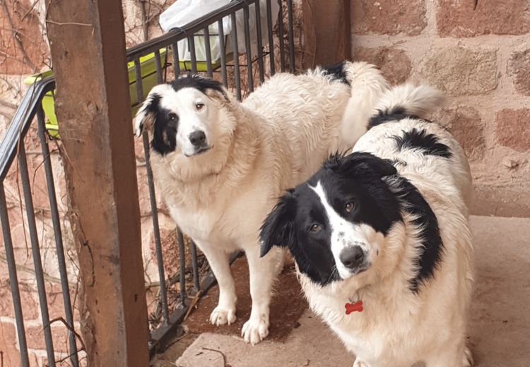 Fotos von Tanit en Vareilles Haus