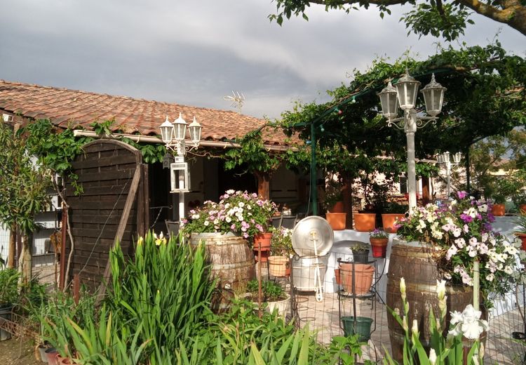 Pictures of REJANE M.'s house