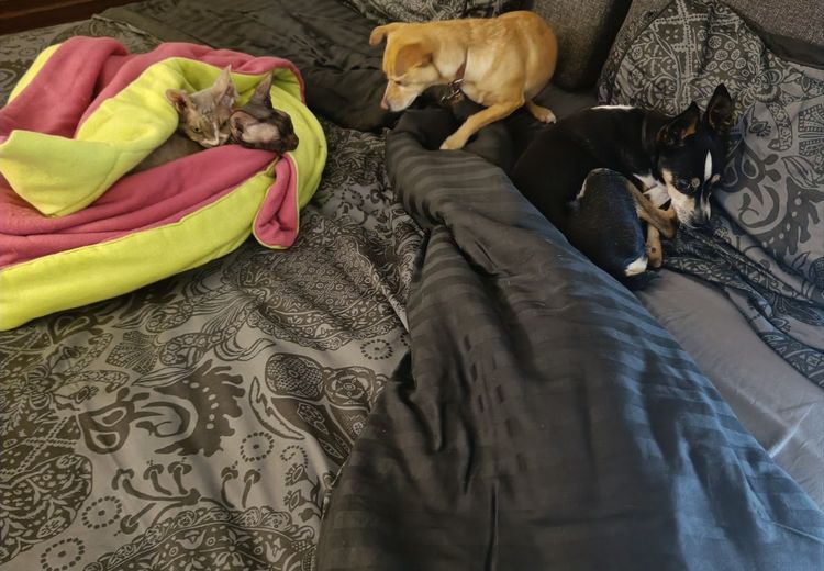 Des photos de la maison de Cathy