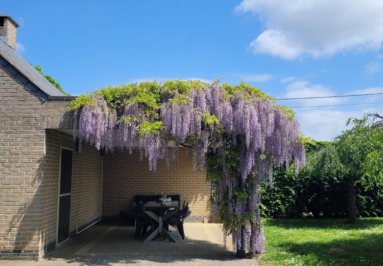 Pictures of Virginie's house