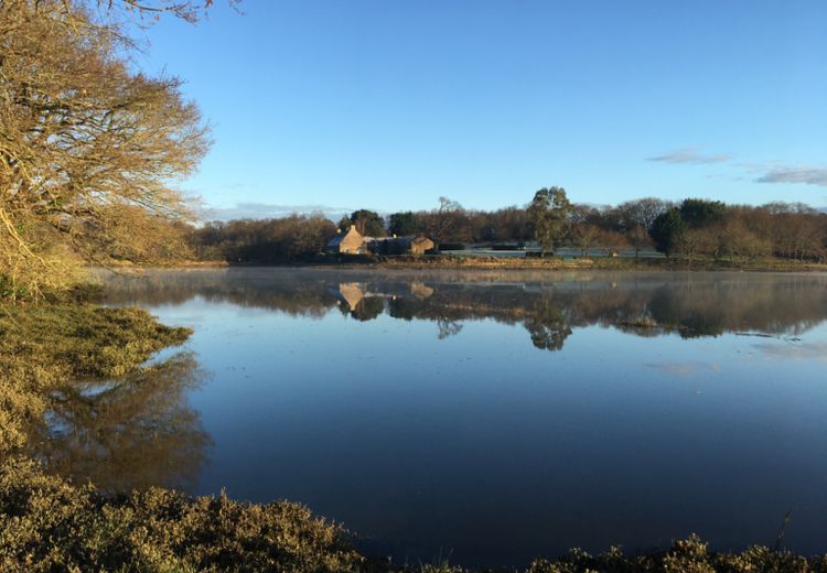 Des photos de la maison de VALERIE S.