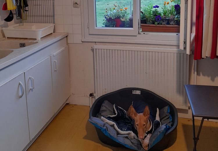 Des photos de la maison de Nathalie L.