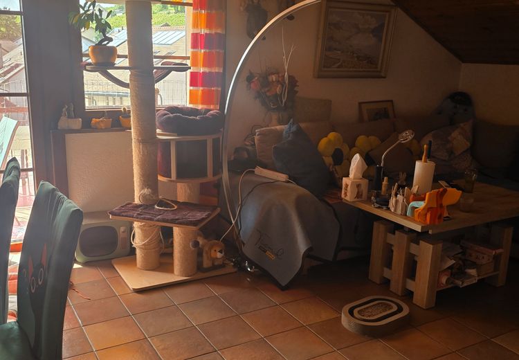 Pictures of DodoBron's house