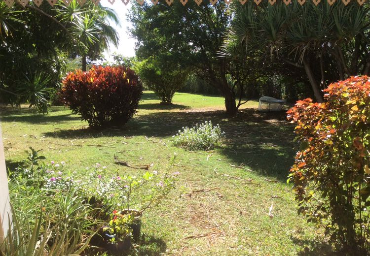 Pictures of Bamboo974's house