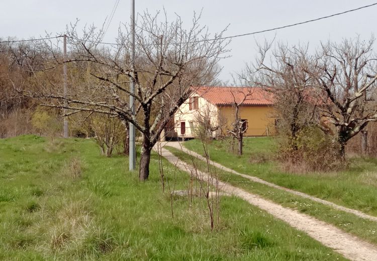 Des photos de la maison de Sylvie L.