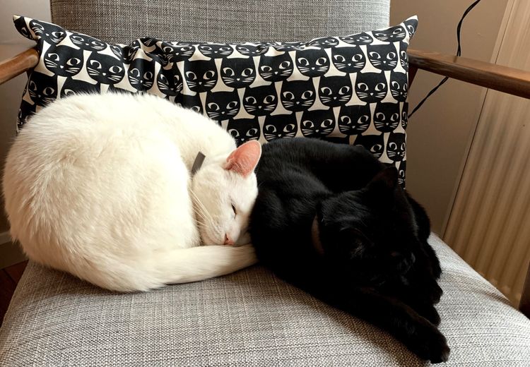 Fotos von Jantien & Robin Haus