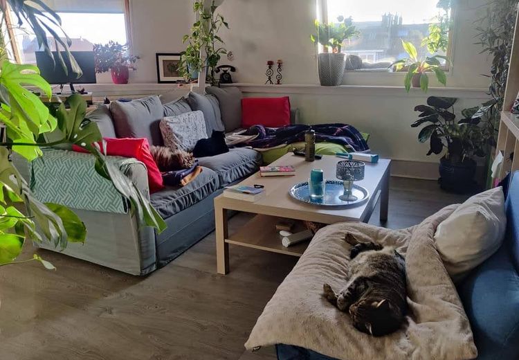 Pictures of Anja D.'s house