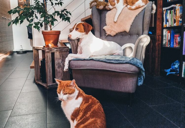 Des photos de la maison de Michelle