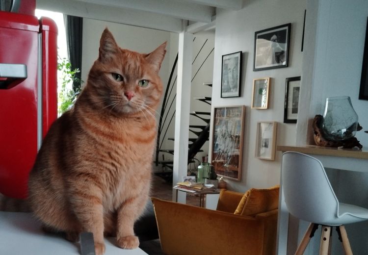 Pictures of Morgane M.'s house