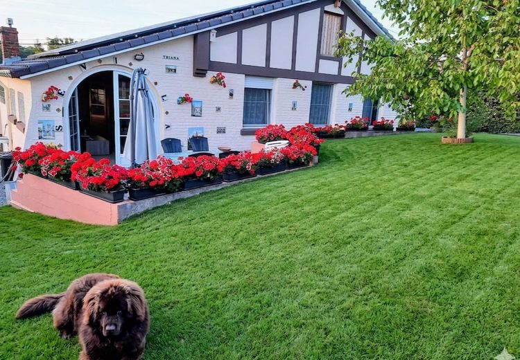 Pictures of Jean-Luc D.'s house