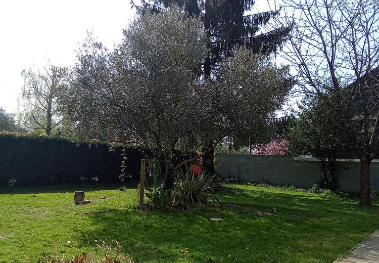Pictures of Cooper's house