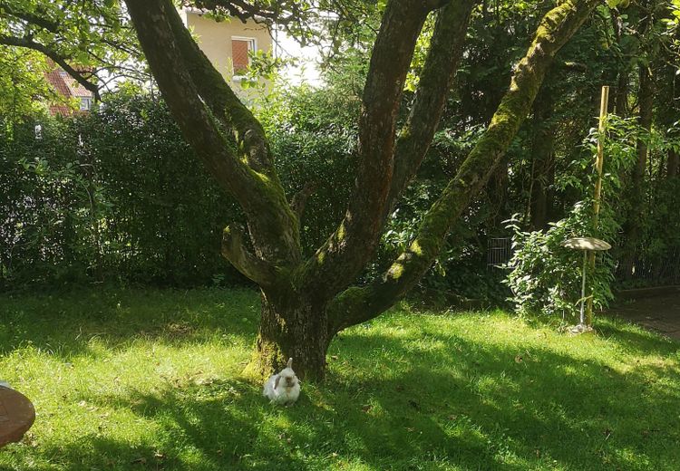 Pictures of Frauke F.'s house