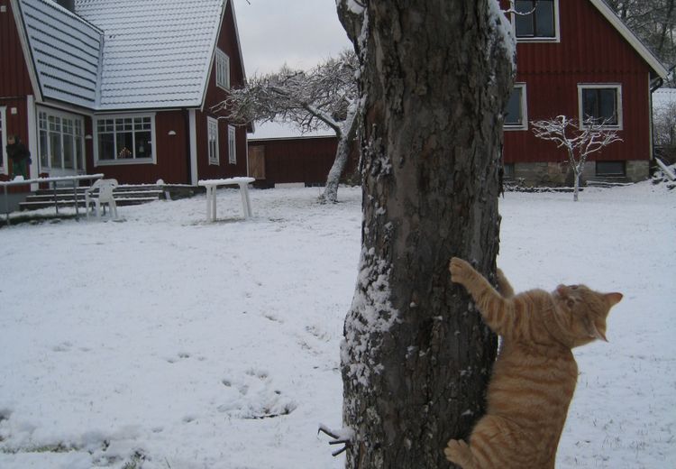 Fotos von Fanny I. Haus