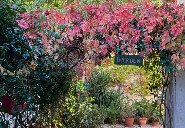 Des photos de la maison de Frédérique
