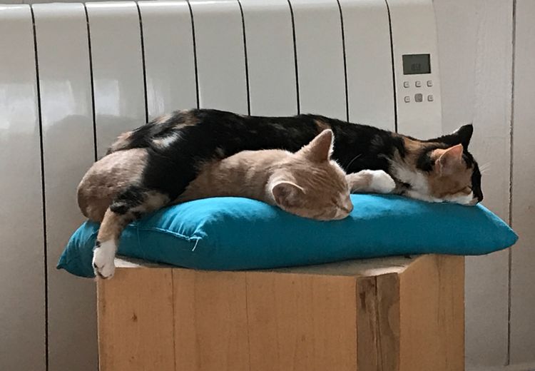 Des photos de la maison de PASCALE B.