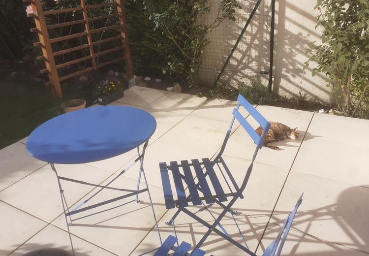 Des photos de la maison de Noelia M.