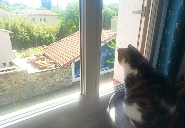 Des photos de la maison de Anne M.