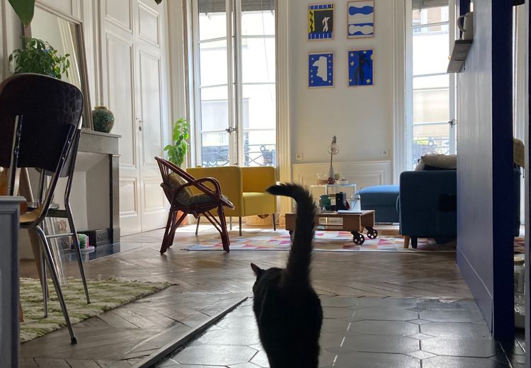 Fotos von Camille Haus