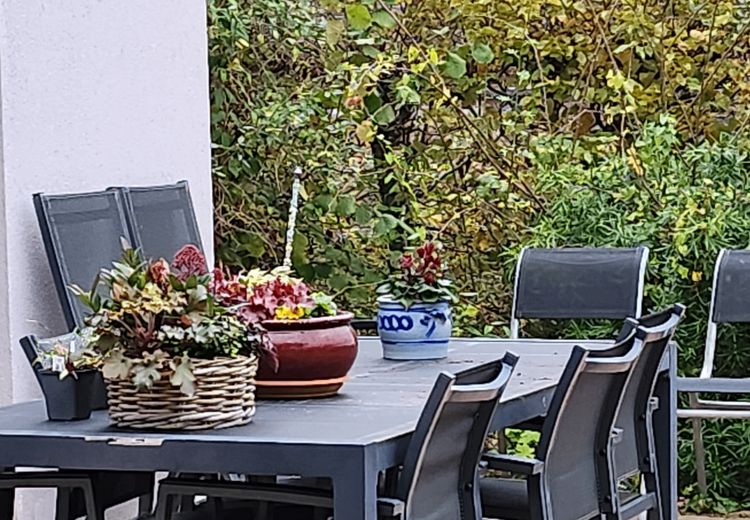 Pictures of Marie G.'s house