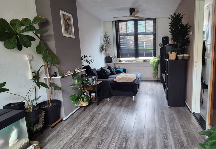 Pictures of Jurate T.'s house