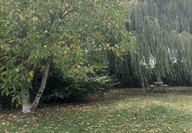 Des photos de la maison de Sophie