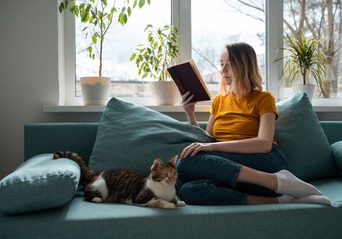 Vorteile der Katzenbetreuung zu Hause durch einen ehrenamtlichen House Sitter