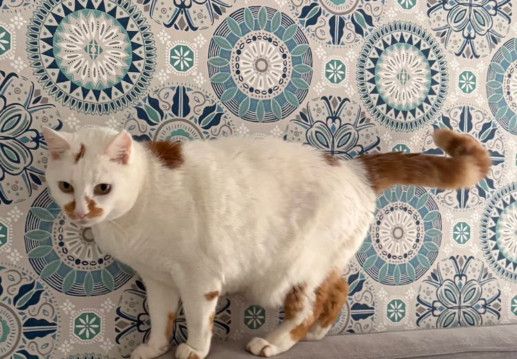 Pictures of Patrice's house