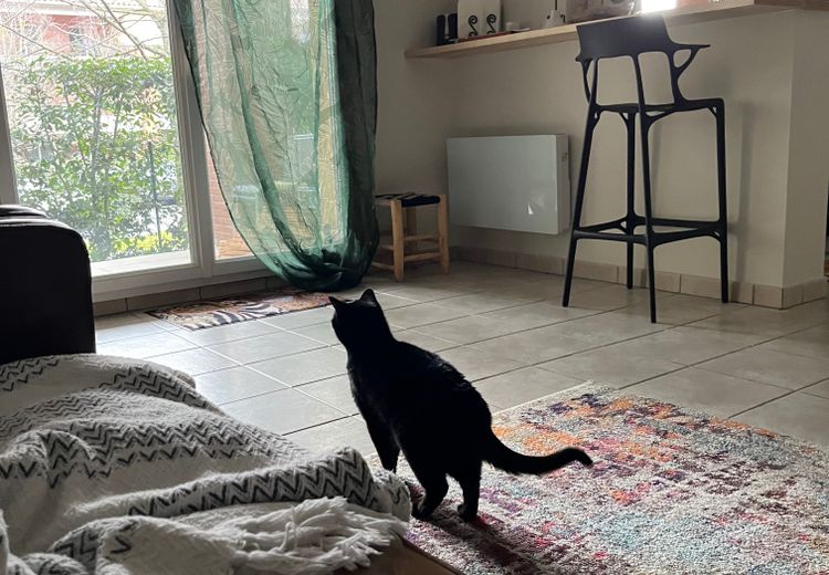 Pictures of Judith W.'s house