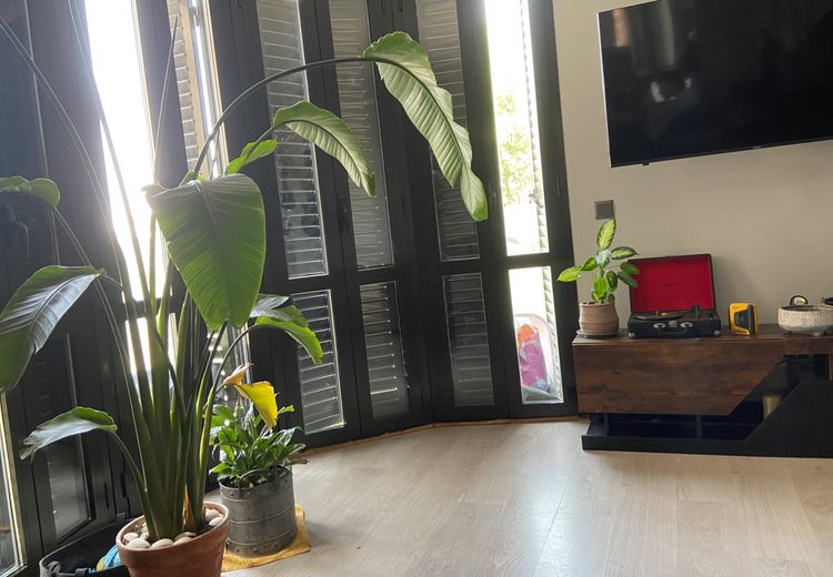 Pictures of Kyra Rafaëlla W.'s house