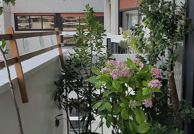 Pictures of dominique B.'s house
