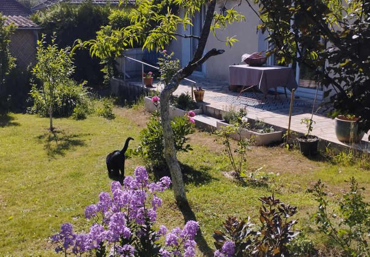 Des photos de la maison de Marie C.