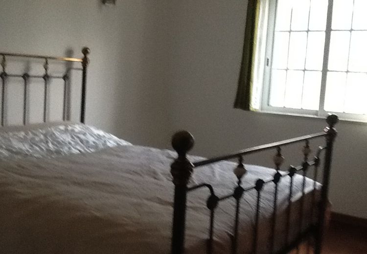 Pictures of Saly's house