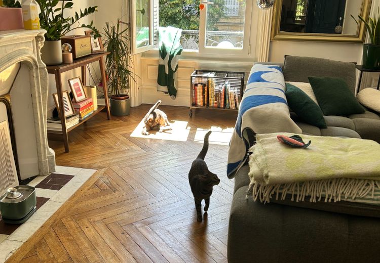 Pictures of Lab's house
