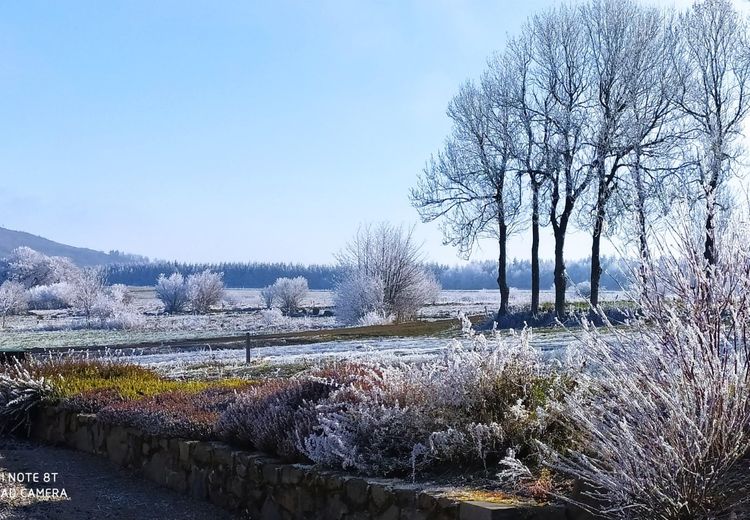 Des photos de la maison de Natygasty