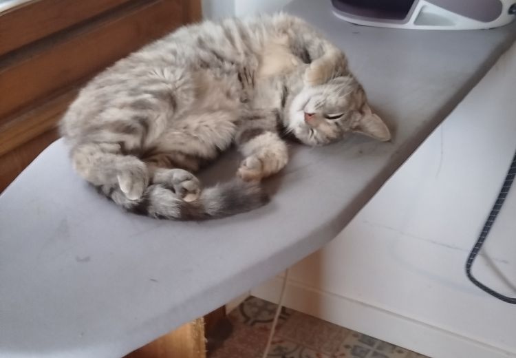 Des photos de la maison de Sylvie J.