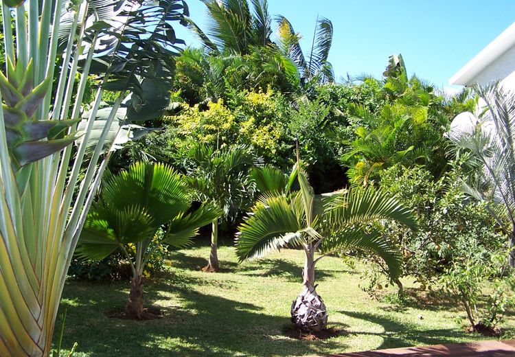 Pictures of Françoise D.'s house