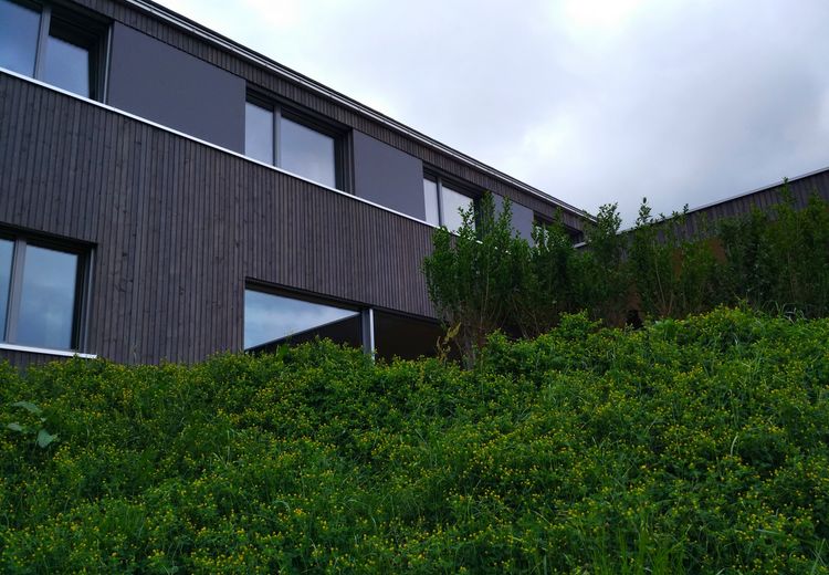 Des photos de la maison de Cécile et Alain L.