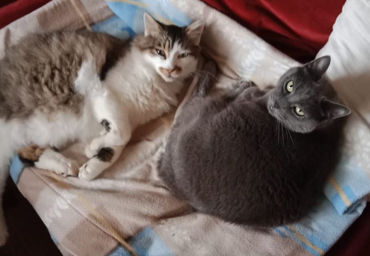 Des photos de la maison de Delphine et Jean-Marie LM