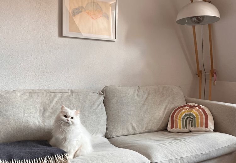 Pictures of Juliana L.'s house
