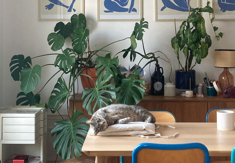 Fotos von Ségolène L. Haus