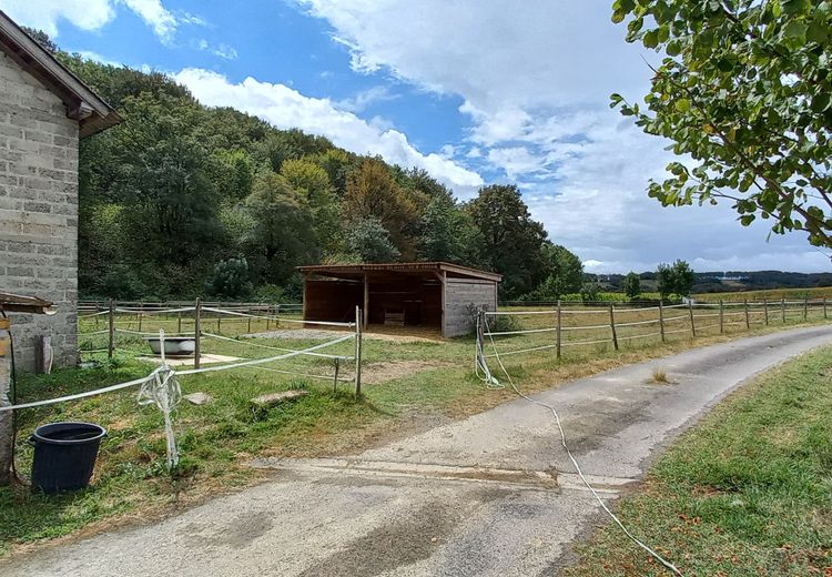 Fotos von Marina G. Haus
