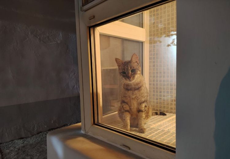 Pictures of Udo's house