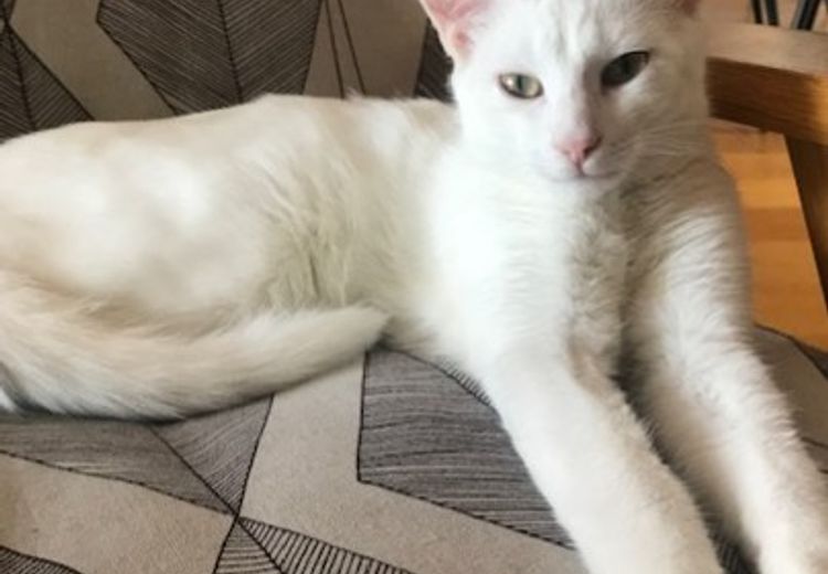 Des photos de la maison de Julie